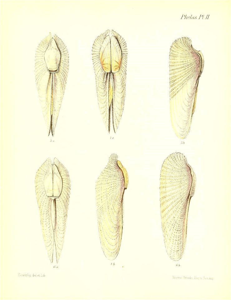 n209_w1150