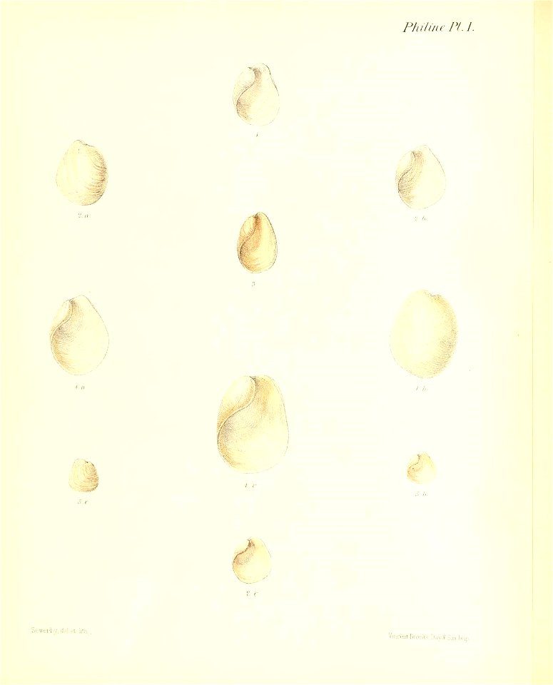 n11_w1150