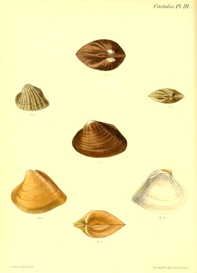 n459_w1150