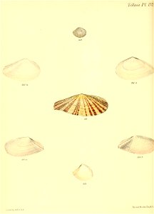 n383_w1150