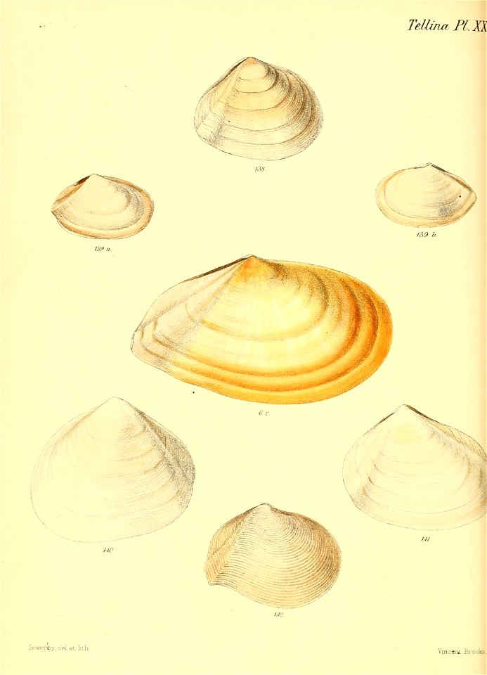 n263_w1150