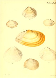 n263_w1150