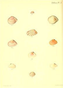 n199_w1150