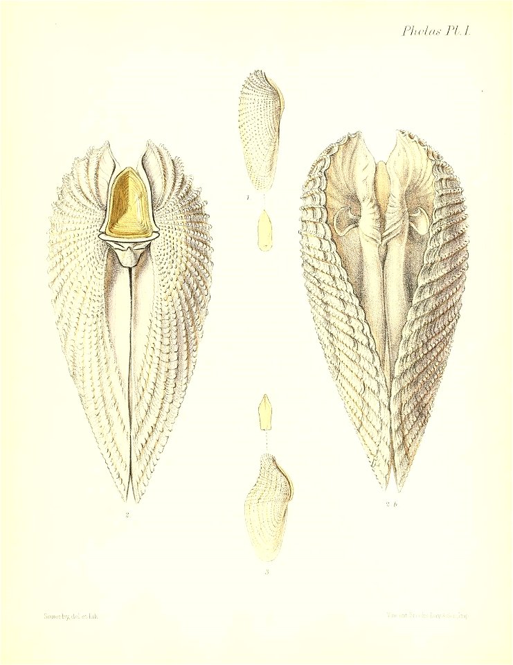 n205_w1150