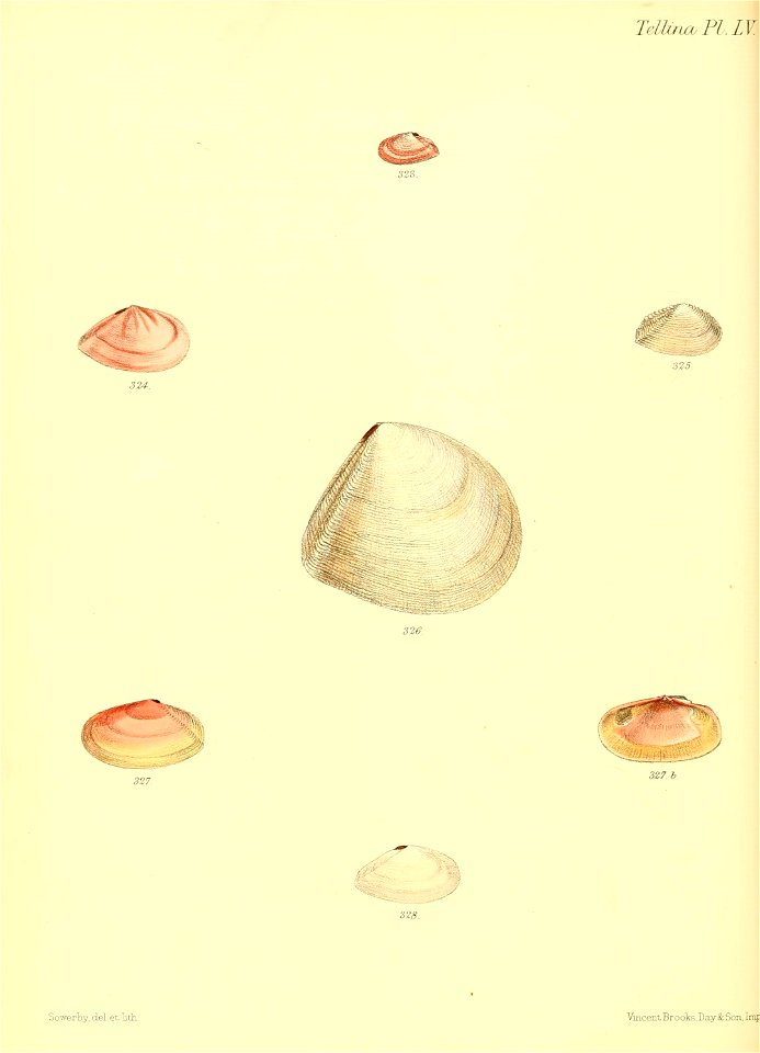 n379_w1150