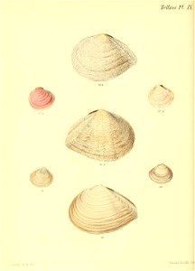 n195_w1150