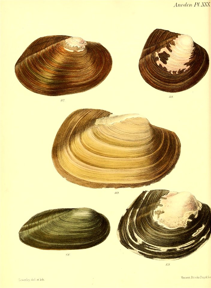 n127_w1150