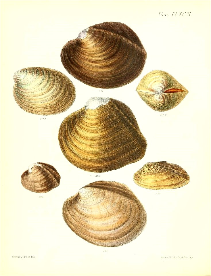 n393_w1150