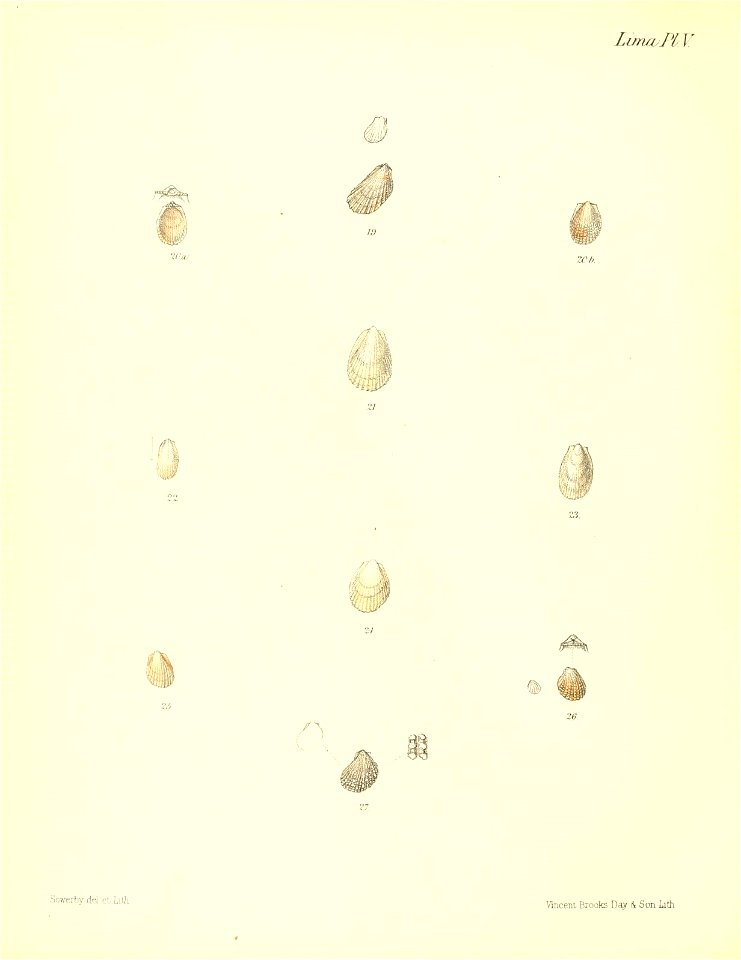 n537_w1150