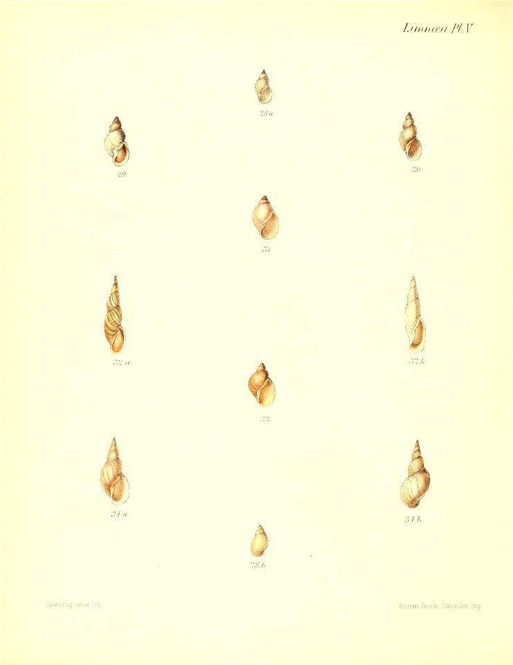 n473_w1150