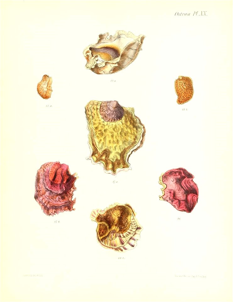 n133_w1150
