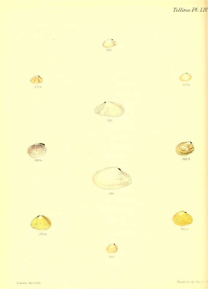 n375_w1150