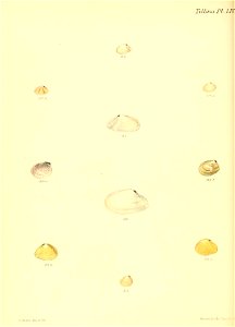 n375_w1150
