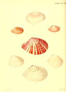 n191_w1150