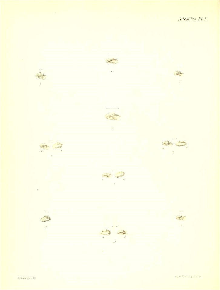 n495_w1150