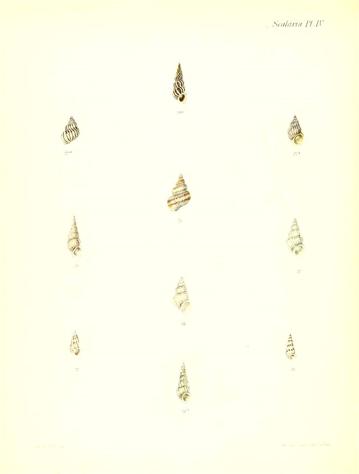 n191_w1150