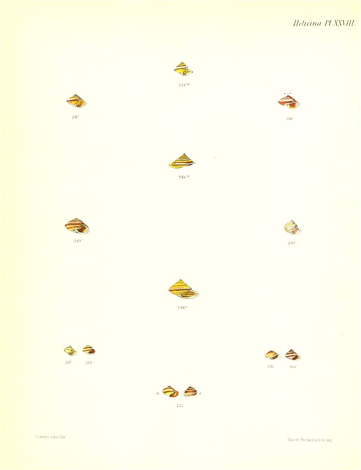 n119_w1150