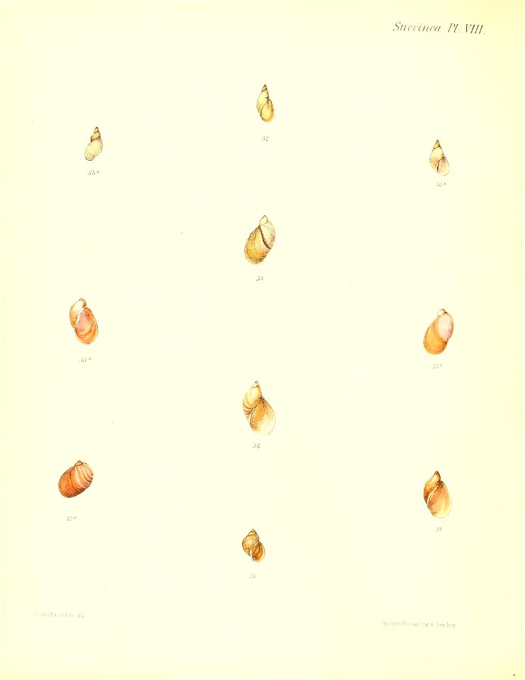 n399_w1150