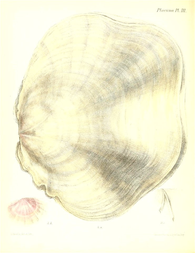 n329_w1150