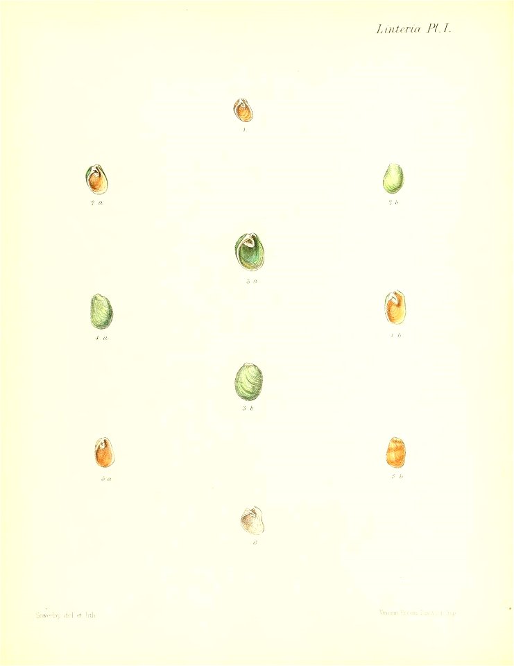 n193_w1150