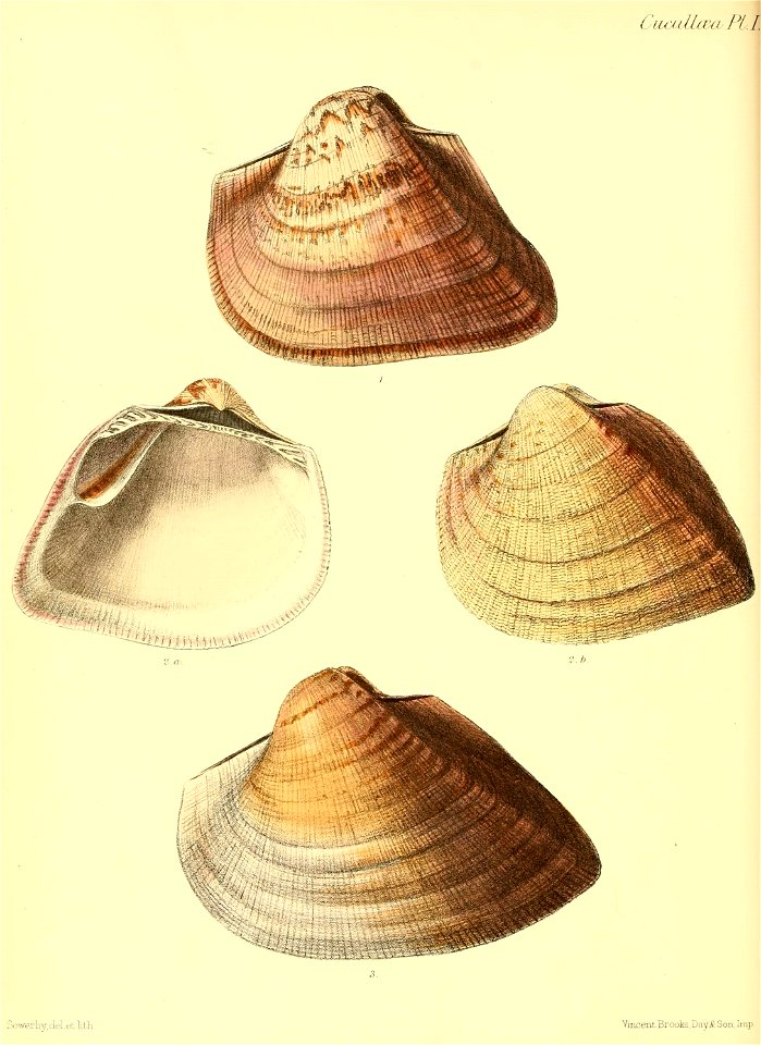 n517_w1150