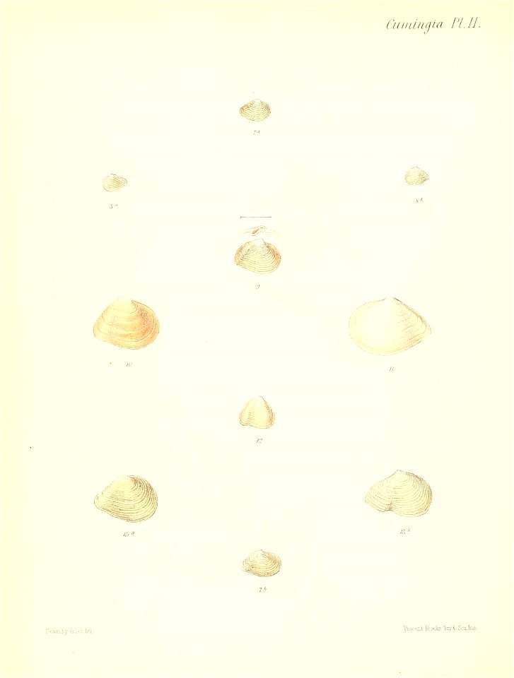 n251_w1150
