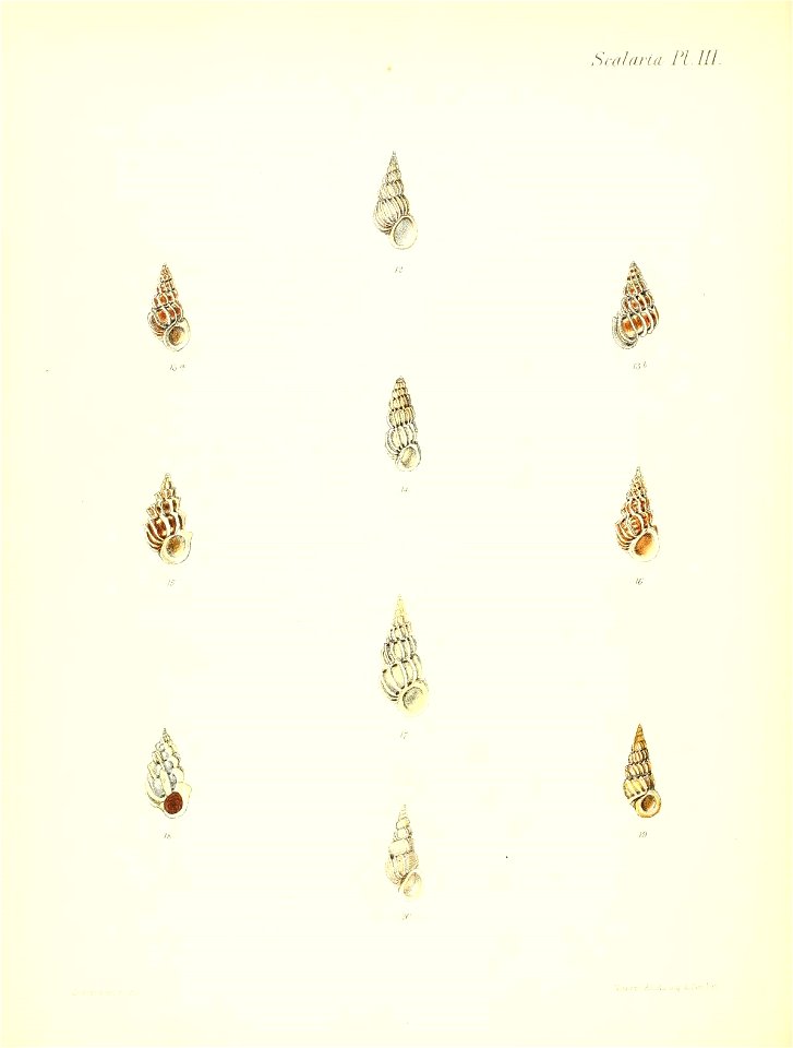 n187_w1150