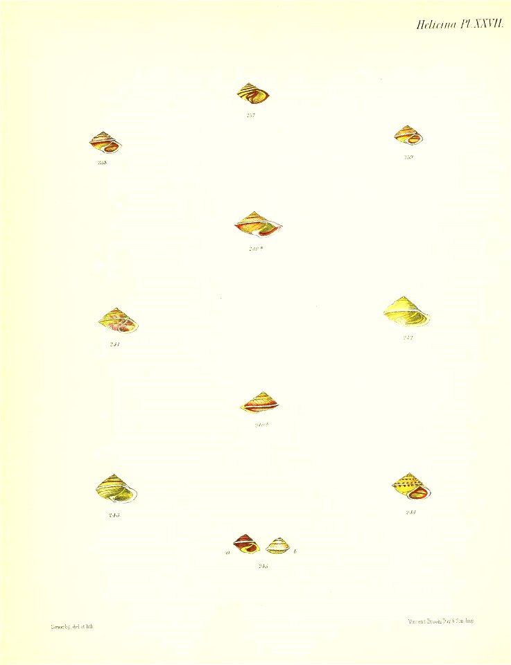 n115_w1150