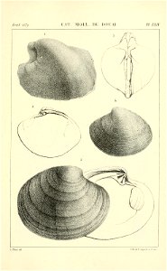n534_w1150