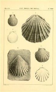 n504_w1150