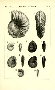 n414_w1150