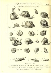 n565_w1150