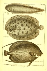n464_w1150