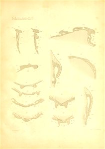 n108_w1150