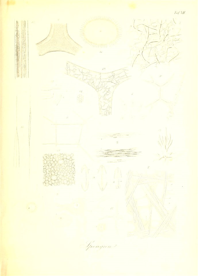 n112_w1150