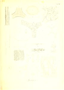 n112_w1150