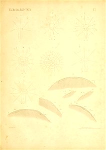 n104_w1150