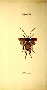 n179_w1150