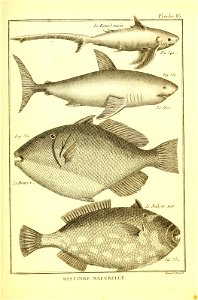 n452_w1150