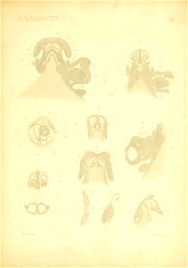n116_w1150