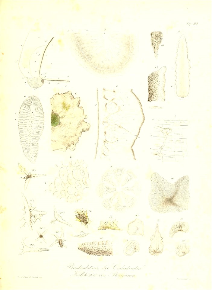 n234_w1150