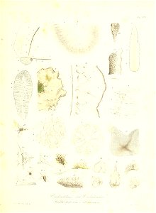 n234_w1150