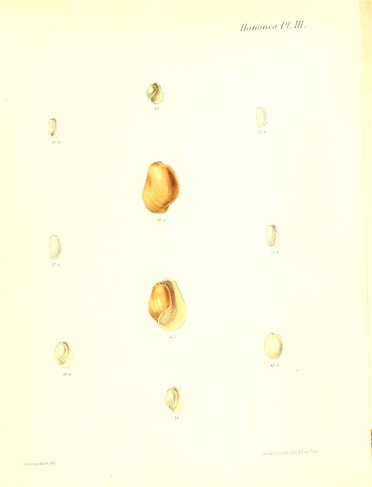 n477_w1150