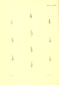 n433_w1150