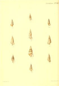 n369_w1150