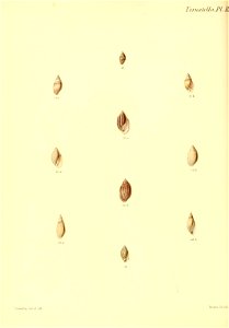 n303_w1150