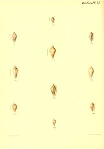 n235_w1150