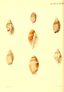 n171_w1150