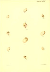 n43_w1150