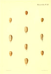 n107_w1150